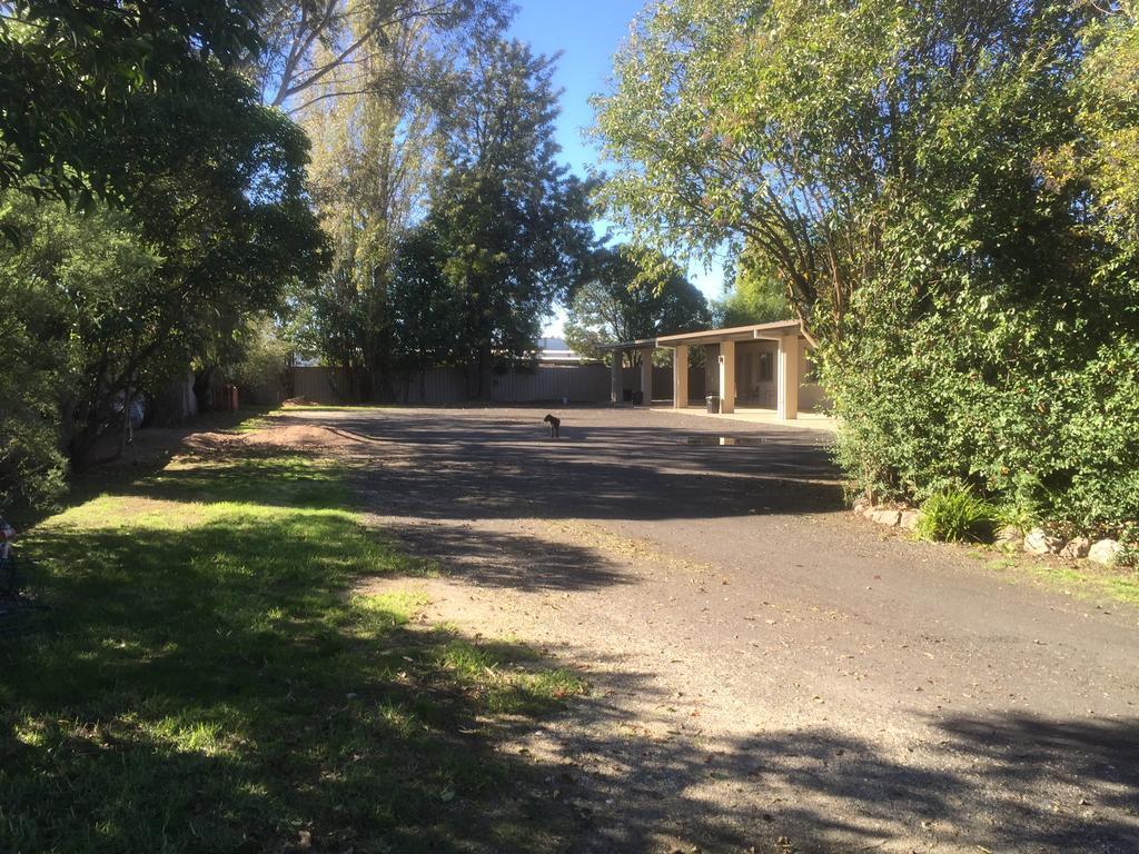 Murray Valley Motel Wodonga Eksteriør billede
